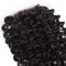 Φυσική μαλαισιανή σγουρή περάτωση 4 δερμάτων τρίχας &quot; x4» για τη μαύρη περάτωση δαντελλών γυναικείων ανθρώπινα μαλλιών προμηθευτής