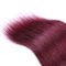 Βραζιλιάνες επεκτάσεις 12 ανθρώπινα μαλλιών Ombre ύφανσης τρίχας της Virgin Ombre» σε 26» προμηθευτής