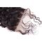 Οι περουβιανές Kinky σγουρές μπροστινές περούκες δαντελλών ανθρώπινα μαλλιών επεξεργάστηκαν μη το πλήρες μήκος προμηθευτής