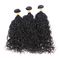 Μη επεξεργασμένα βραζιλιάνα ανθρώπινα μαλλιά κυμάτων νερού 100, φυσικές μαύρες σγουρές δέσμες τρίχας  προμηθευτής