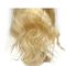 Σγουρό Glueless ανθρώπινα μαλλιών χρώμα περουκών #613 δαντελλών μπροστινό με την πυκνότητα 130% προμηθευτής