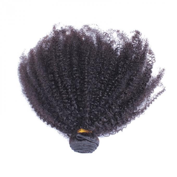 Kinky σγουρή τρίχα Afro κανένα σκόρπισμα, καμία βραζιλιάνα επέκταση ανθρώπινα μαλλιών μπλεξίματος 100% 